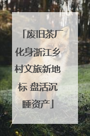 废旧茶厂化身浙江乡村文旅新地标 盘活沉睡资产