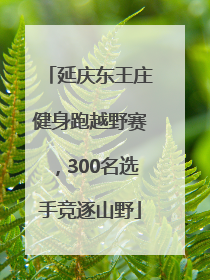 延庆东王庄健身跑越野赛，300名选手竞逐山野