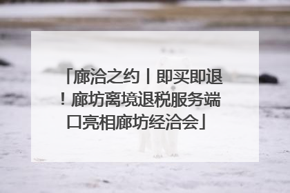 廊洽之约丨即买即退！廊坊离境退税服务端口亮相廊坊经洽会