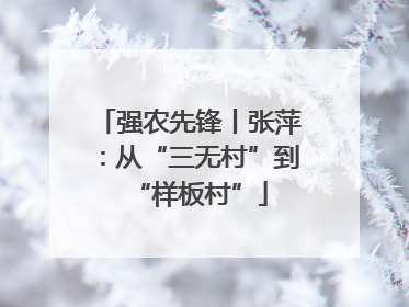 强农先锋丨张萍：从“三无村”到“样板村”