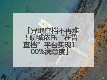 异地查档不再难！聊城依托“在鲁查档”平台实现100%满意度