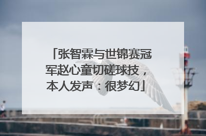 张智霖与世锦赛冠军赵心童切磋球技，本人发声：很梦幻
