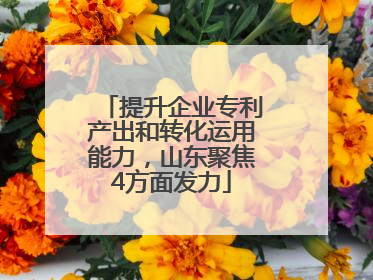 提升企业专利产出和转化运用能力，山东聚焦4方面发力