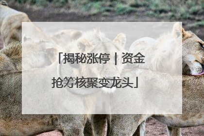 揭秘涨停｜资金抢筹核聚变龙头