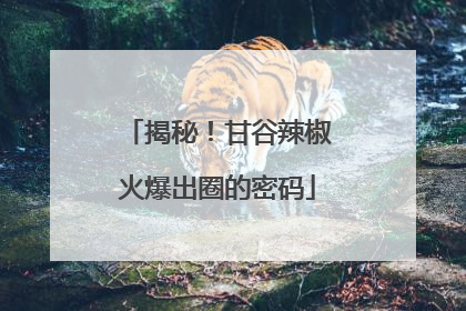 揭秘！甘谷辣椒火爆出圈的密码