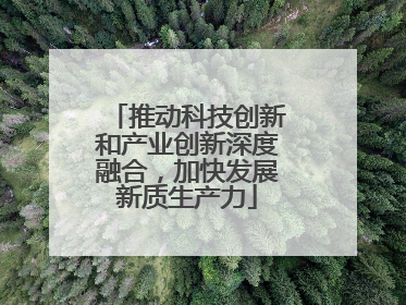 推动科技创新和产业创新深度融合，加快发展新质生产力