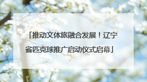 推动文体旅融合发展！辽宁省匹克球推广启动仪式启幕