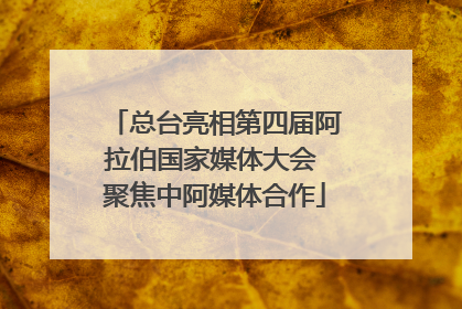 总台亮相第四届阿拉伯国家媒体大会 聚焦中阿媒体合作