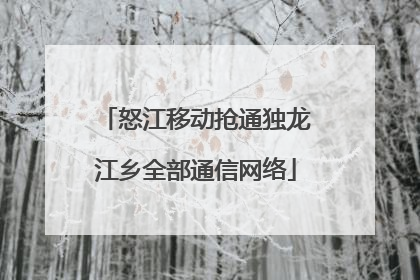 怒江移动抢通独龙江乡全部通信网络