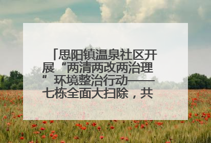 思阳镇温泉社区开展“两清两改两治理”环境整治行动——七栋全面大扫除，共建洁净家园