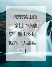 惠安紫山镇：余甘“小酸果”酿出乡村振兴“大甜头”