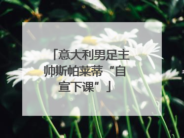 意大利男足主帅斯帕莱蒂“自宣下课”