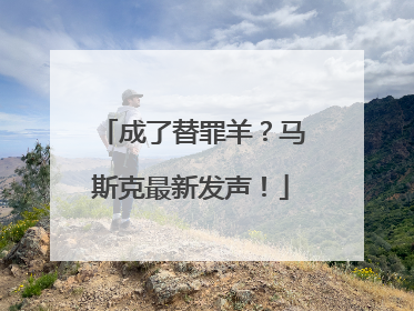 成了替罪羊？马斯克最新发声！