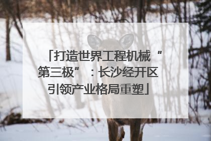 打造世界工程机械“第三极”：长沙经开区引领产业格局重塑