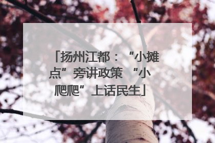 扬州江都：“小摊点”旁讲政策 “小爬爬”上话民生