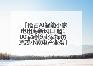 抢占AI智能小家电出海新风口 超100家跨境卖家探访慈溪小家电产业带