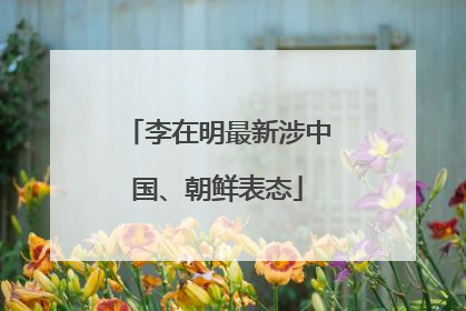 李在明最新涉中国、朝鲜表态