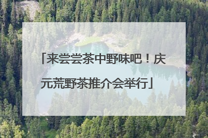 来尝尝茶中野味吧！庆元荒野茶推介会举行
