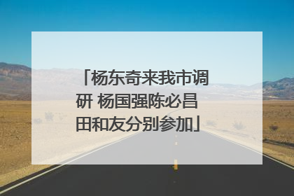 杨东奇来我市调研 杨国强陈必昌田和友分别参加