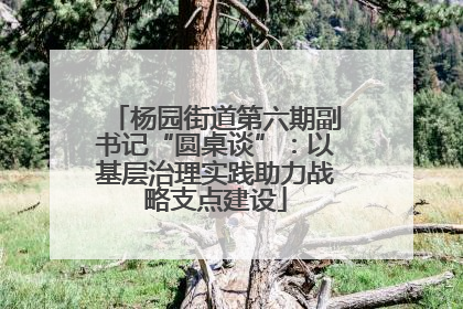 杨园街道第六期副书记“圆桌谈”：以基层治理实践助力战略支点建设