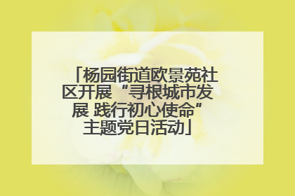 杨园街道欧景苑社区开展“寻根城市发展 践行初心使命”主题党日活动