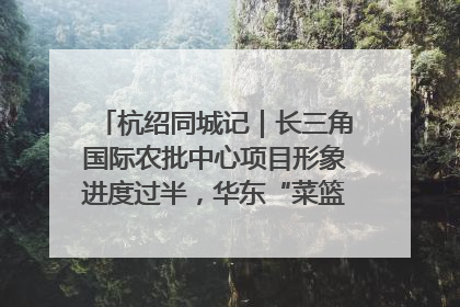 杭绍同城记｜长三角国际农批中心项目形象进度过半，华东“菜篮子”建设加码提速！
