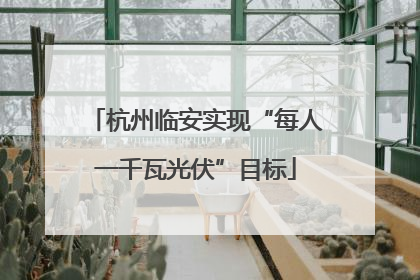 杭州临安实现“每人一千瓦光伏”目标