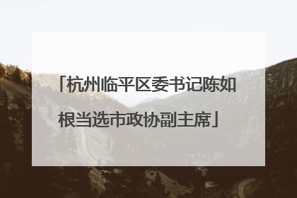 杭州临平区委书记陈如根当选市政协副主席