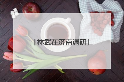 林武在济南调研