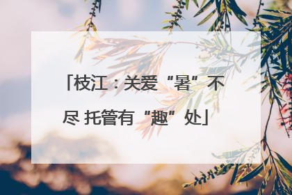 枝江：关爱“暑”不尽 托管有“趣”处