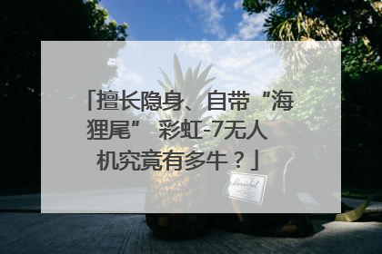 擅长隐身、自带“海狸尾” 彩虹-7无人机究竟有多牛？