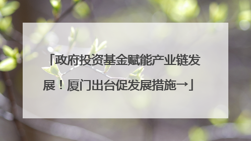 政府投资基金赋能产业链发展！厦门出台促发展措施→