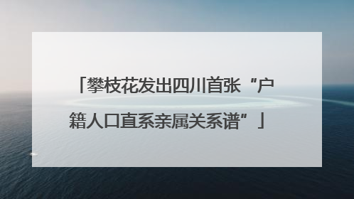 攀枝花发出四川首张“户籍人口直系亲属关系谱”