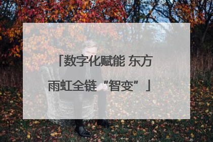 数字化赋能 东方雨虹全链“智变”