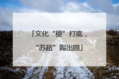 文化“梗”打底，“苏超”踢出圈