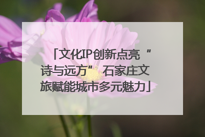 文化IP创新点亮“诗与远方” 石家庄文旅赋能城市多元魅力