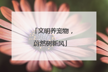 文明养宠物，蔚然树新风