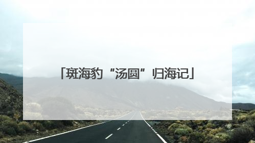 斑海豹“汤圆”归海记