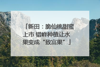 新田：脆仙桃甜蜜上市 错峰种植让水果变成“致富果”