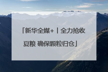 新华全媒+丨全力抢收夏粮 确保颗粒归仓