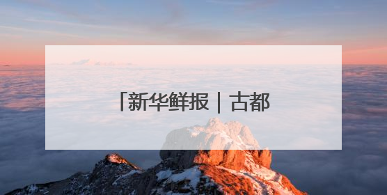 新华鲜报｜古都携手丝路！丝博会绽放新活力