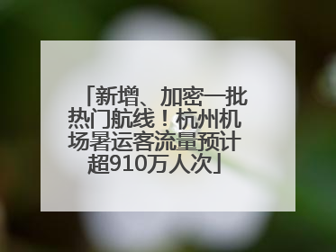 新增、加密一批热门航线！杭州机场暑运客流量预计超910万人次