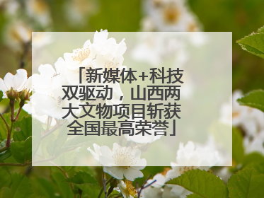 新媒体+科技双驱动，山西两大文物项目斩获全国最高荣誉
