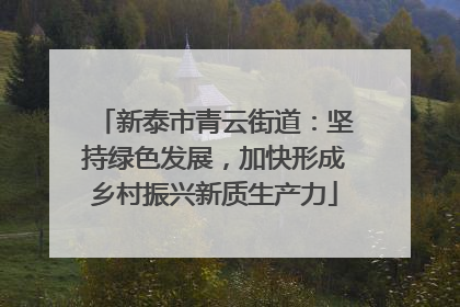 新泰市青云街道：坚持绿色发展，加快形成乡村振兴新质生产力