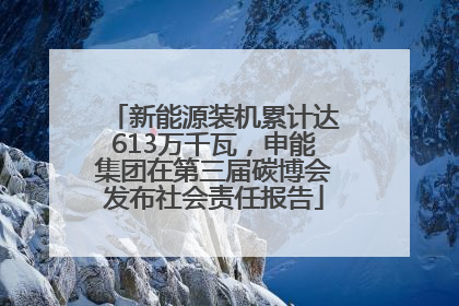 新能源装机累计达613万千瓦，申能集团在第三届碳博会发布社会责任报告