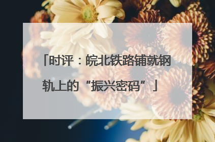 时评：皖北铁路铺就钢轨上的“振兴密码”
