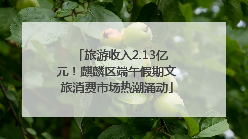 旅游收入2.13亿元！麒麟区端午假期文旅消费市场热潮涌动
