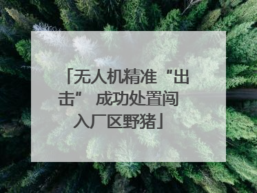 无人机精准“出击” 成功处置闯入厂区野猪