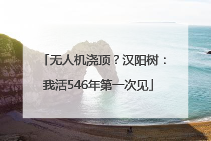 无人机浇顶？汉阳树：我活546年第一次见