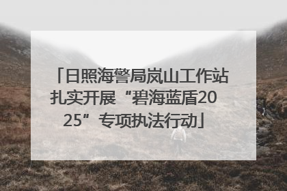 日照海警局岚山工作站扎实开展“碧海蓝盾2025”专项执法行动